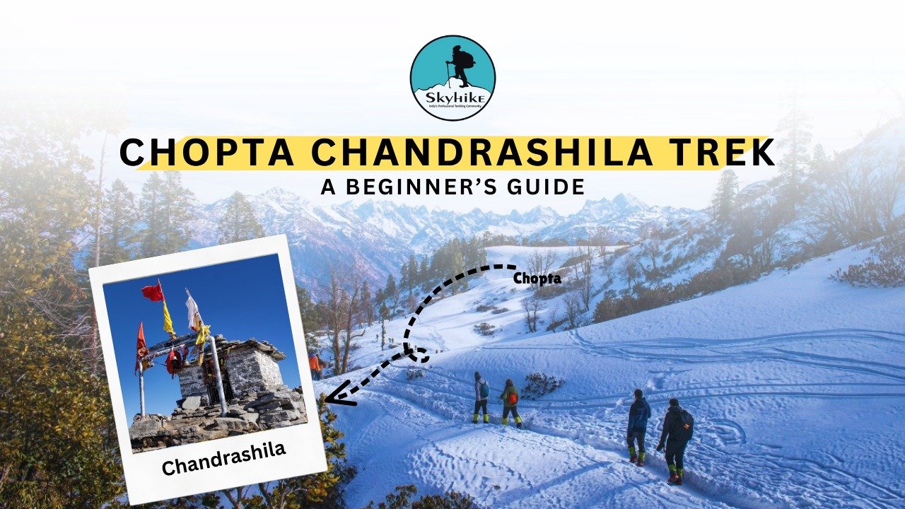 Chopta Chandrashila Trek – A Beginner’s Guide