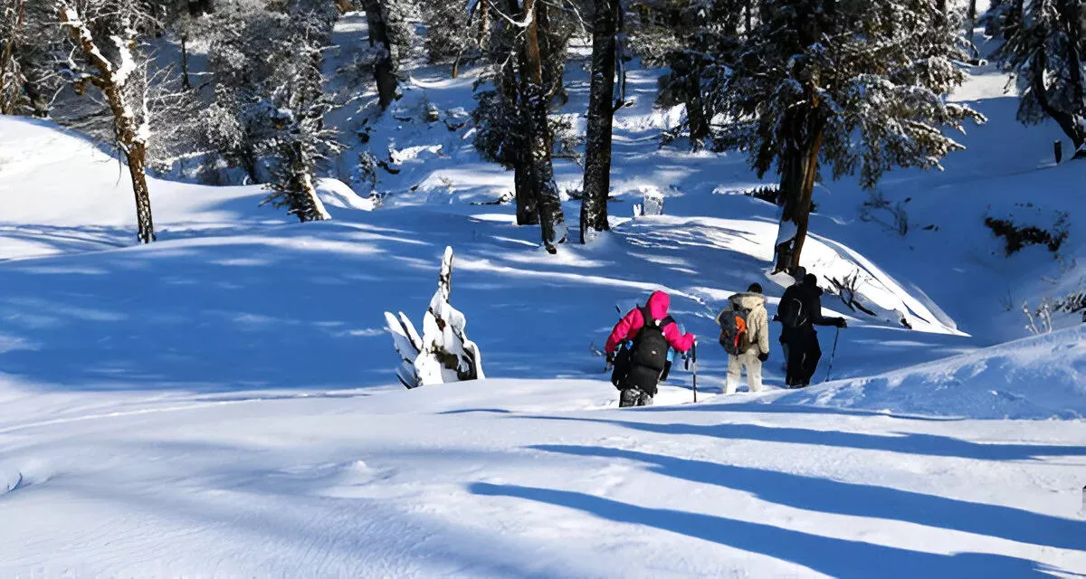 Affordable Rental Equipment on Kedarkantha Trek with SkyHike