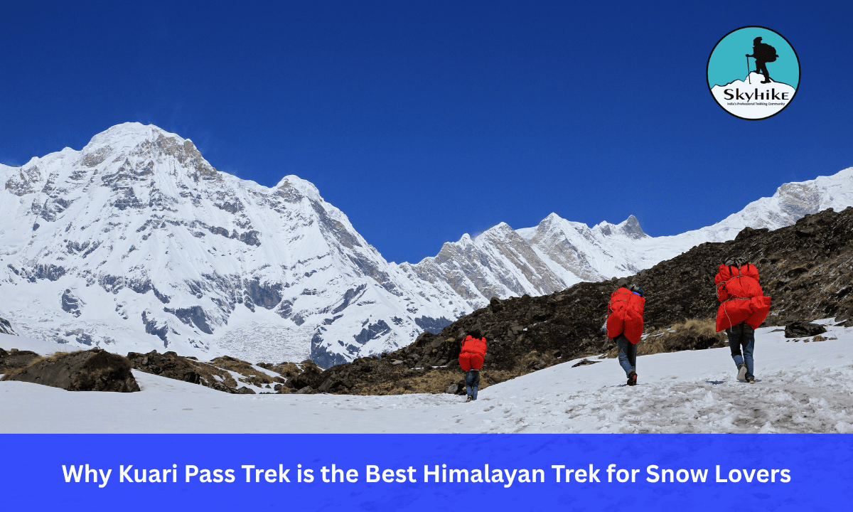 Why Kuari Pass Trek is the Best Himalayan Trek for Snow Lovers