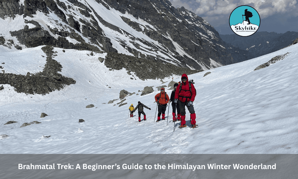 Brahmatal Trek: A Beginner’s Guide to the Himalayan Winter Wonderland