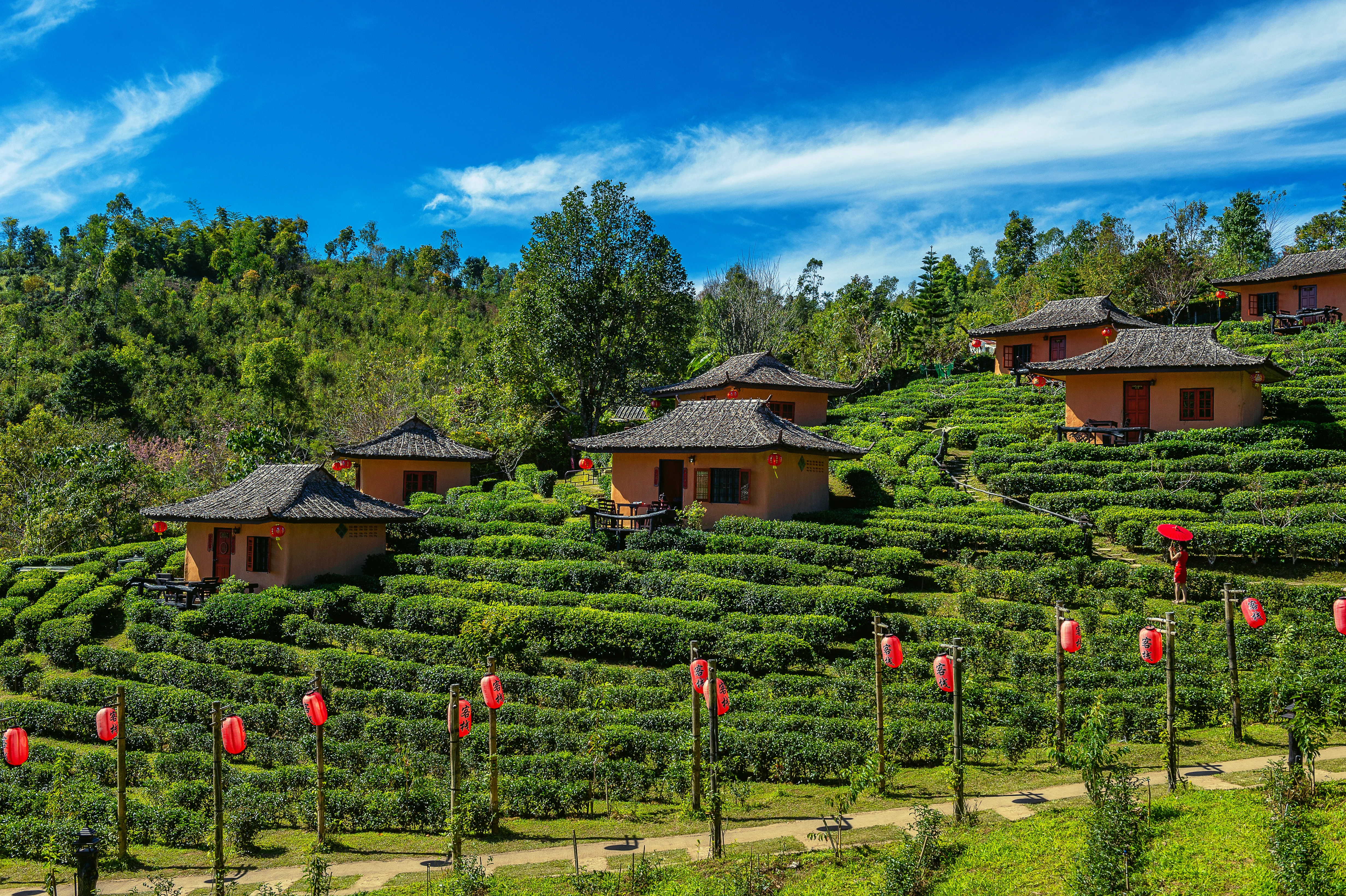 Arunachal Pradesh Tour Package 7 Nights 8 Days