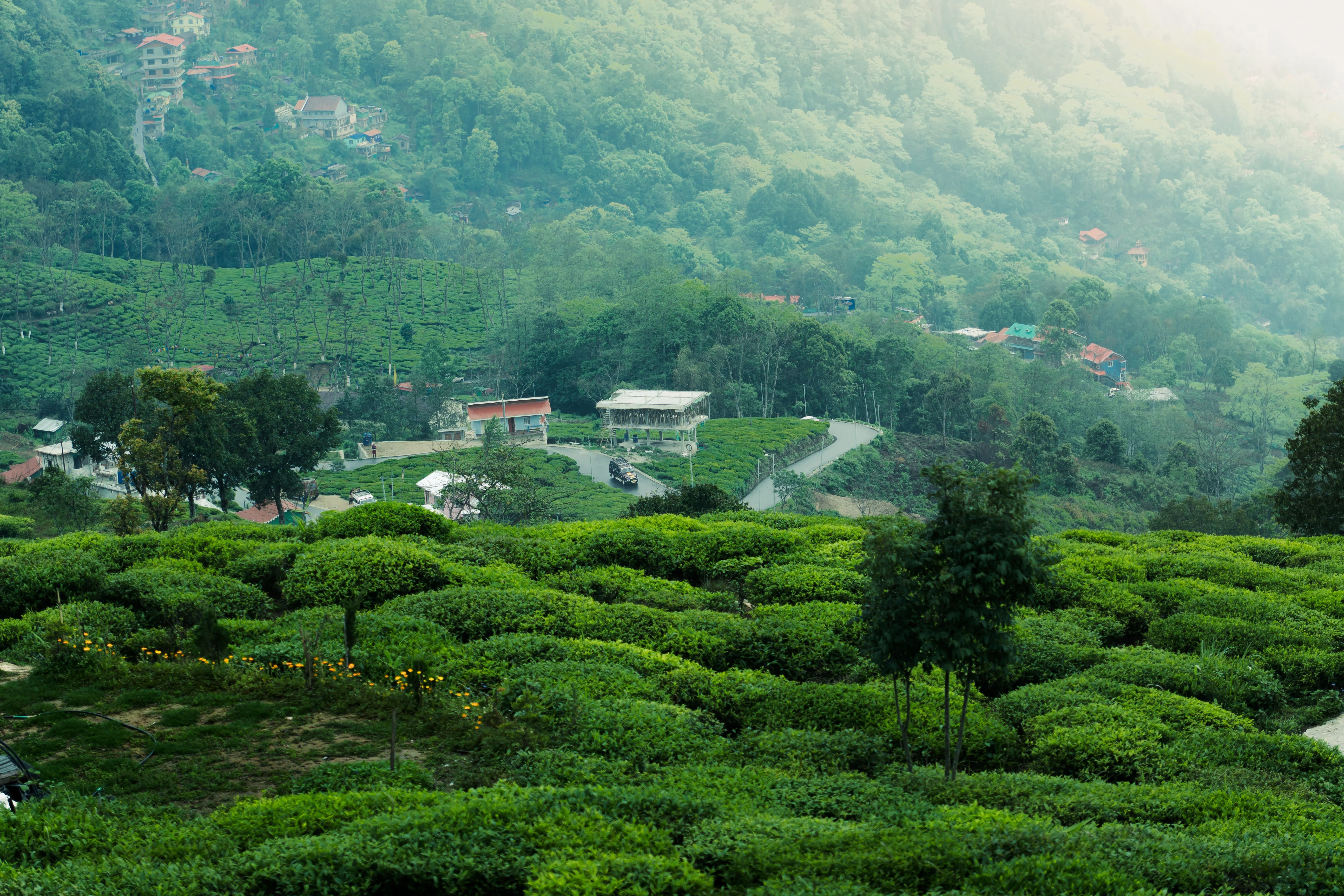 Sikkim Darjeeling Scenic Holiday Package 6 Nights 7 Days