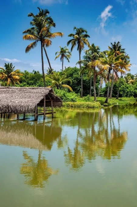 Munnar, Thekkady, Alleppey, Kovalam, Kanyakumari, Rameswaram & Madurai Tour Package  10 Days / 9 Nights