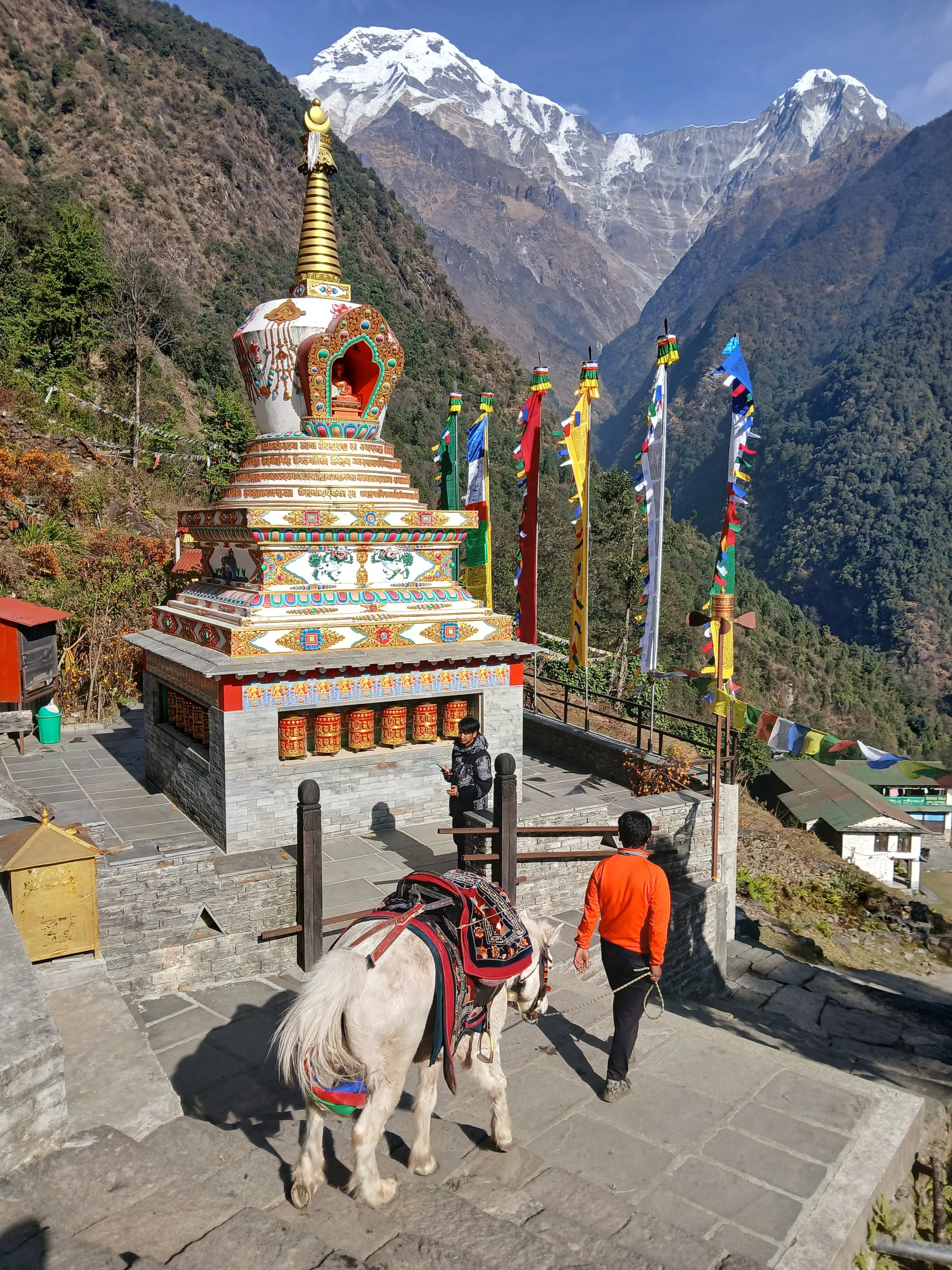 Best of Nepal with Muktinath Darshan Yatra Tour Package 6 Nights 7 Days